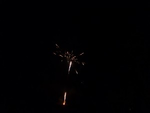 feu15