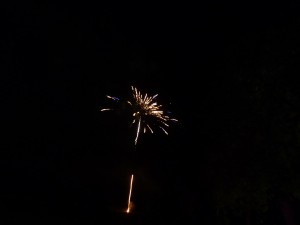 feu16