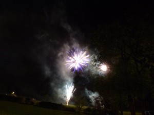 feu31